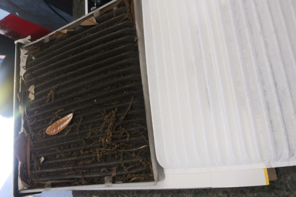 Cabin Air Filters When & Why To Change Them Walden Lake Car Wash